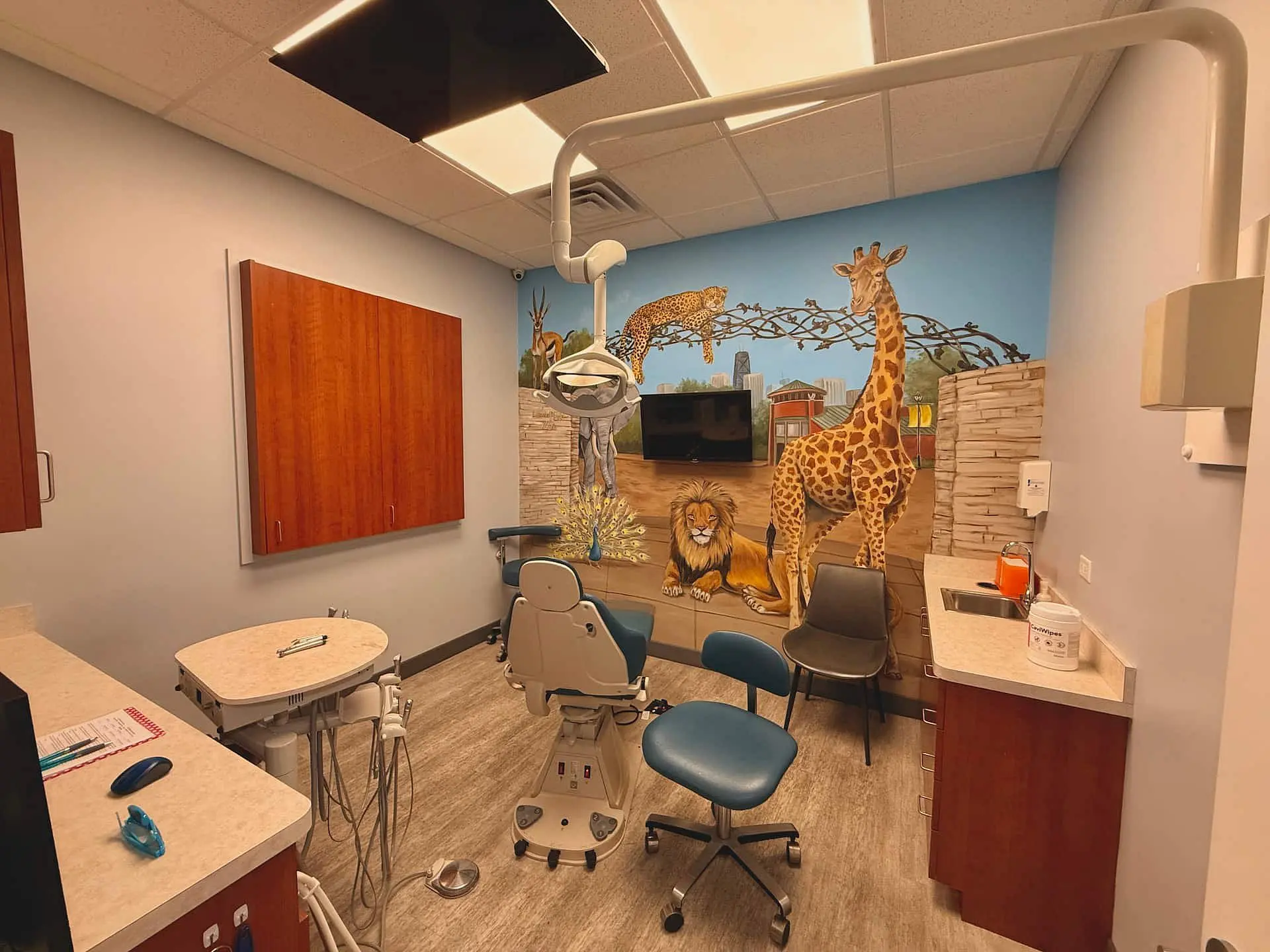 At Star Smiles Pediatric Dentistry in Bloomingdale or Naperville, IL, the dental exam room—designed by pediatric dentists—features a patient chair, equipment, cabinets, and a playful savanna wall mural with a giraffe, lion, and cheetah.