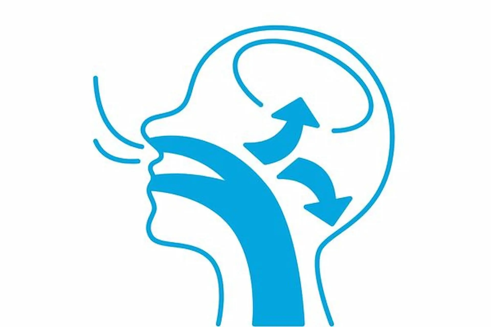 Illustration of a human head profile showing airflow paths for mouth breathing, with arrows indicating the direction through the mouth and nasal passages in Bloomingdale and Naperville, IL.